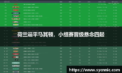 荷兰逼平马其顿，小组赛晋级悬念四起