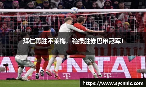 九游娱乐官方app下载