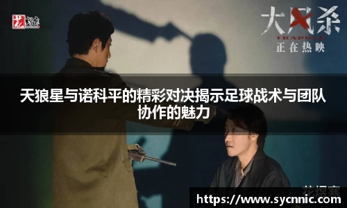 天狼星与诺科平的精彩对决揭示足球战术与团队协作的魅力
