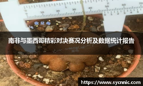 南非与墨西哥精彩对决赛况分析及数据统计报告