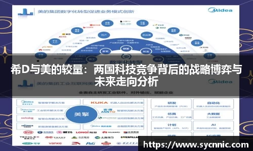 希D与美的较量：两国科技竞争背后的战略博弈与未来走向分析